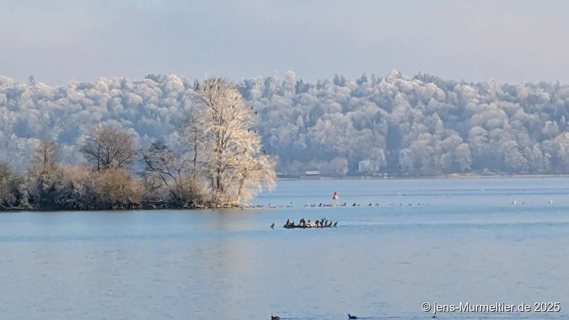 Feldafing Spaziergang am See Dezember 2025