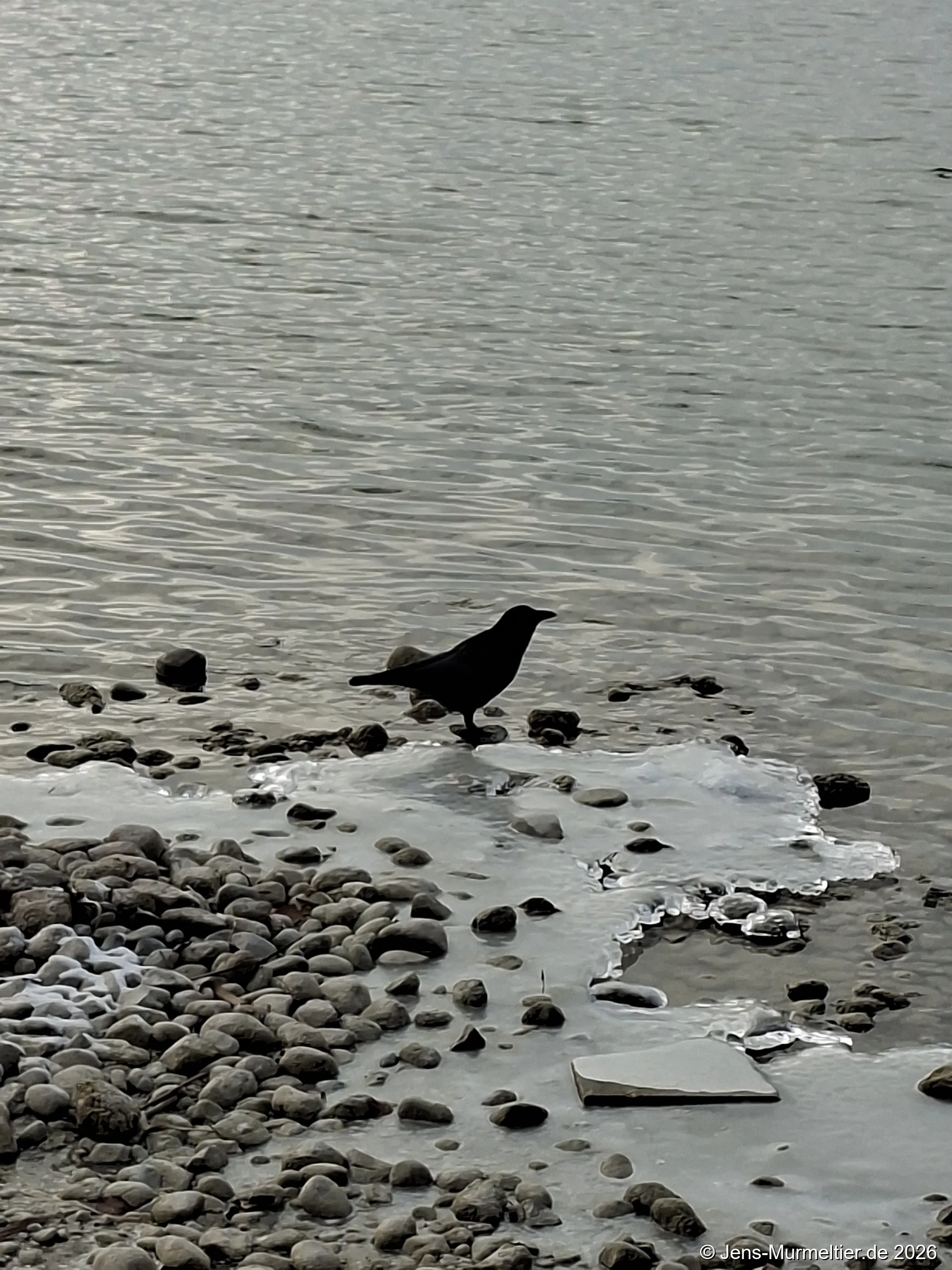 Spaziergang Breitbrunn am Ammersee